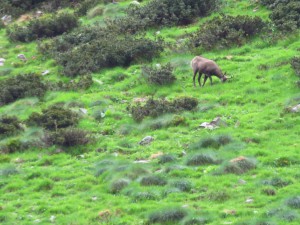 IMG_2450
